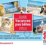 Enfants et animaux – Sécurité des enfants avec leurs animaux fovoris